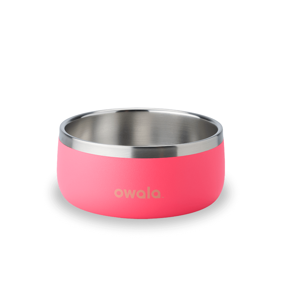Pet Bowl O3T55R