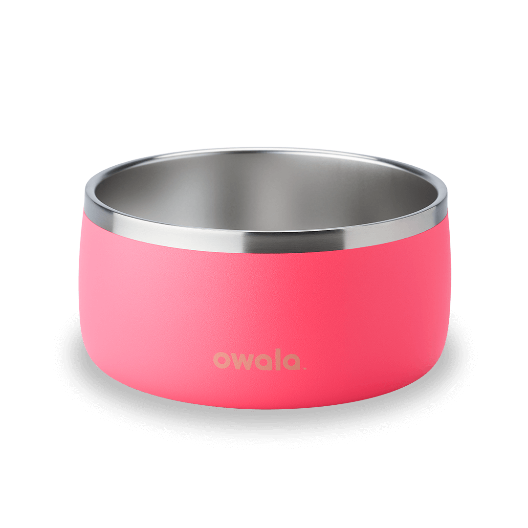 Pet Bowl O3T55R