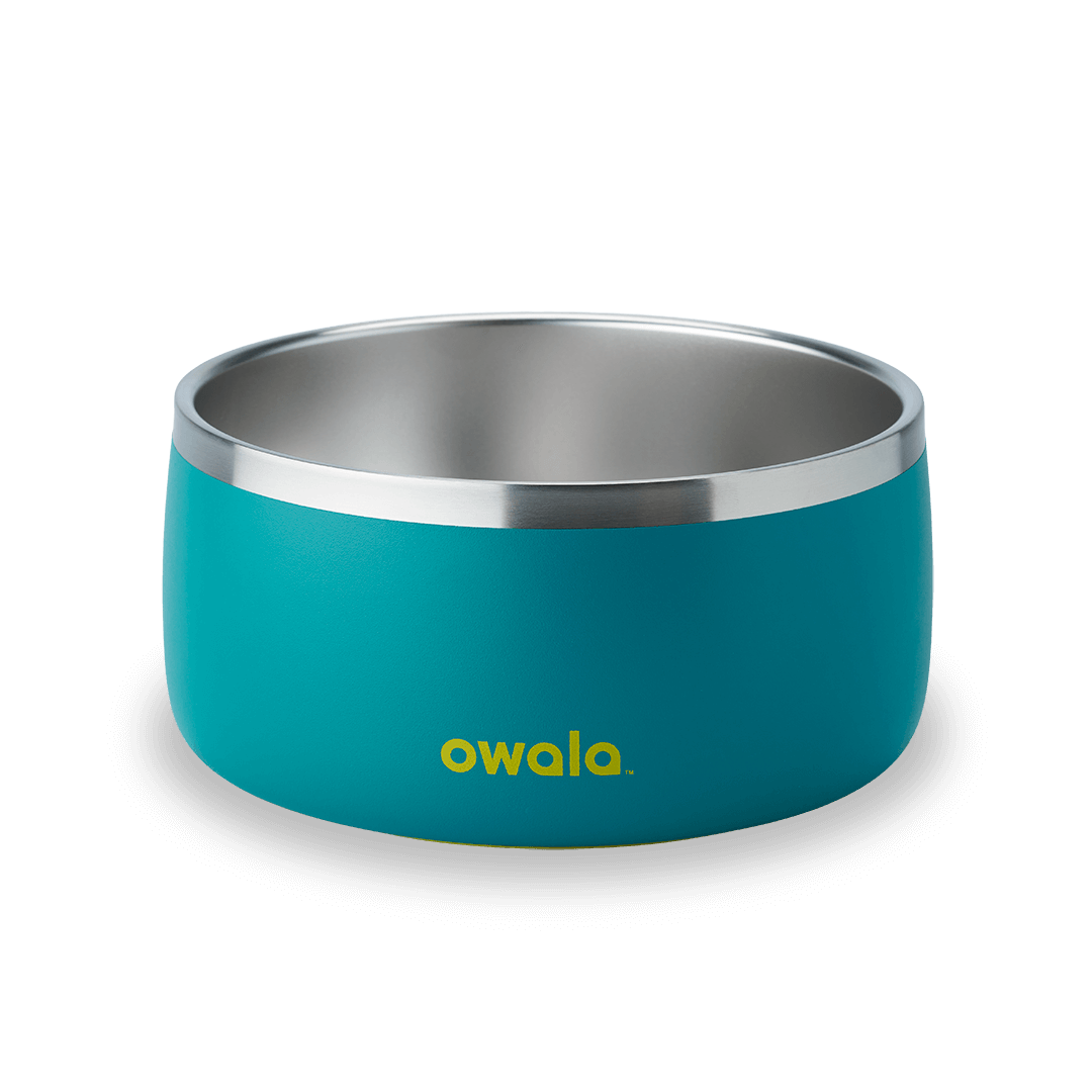 Pet Bowl O3T55R