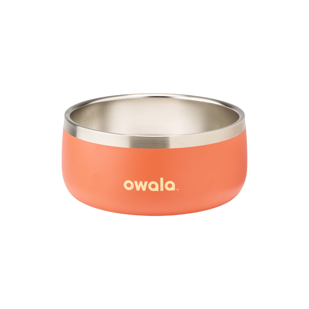 Pet Bowl O3T55R