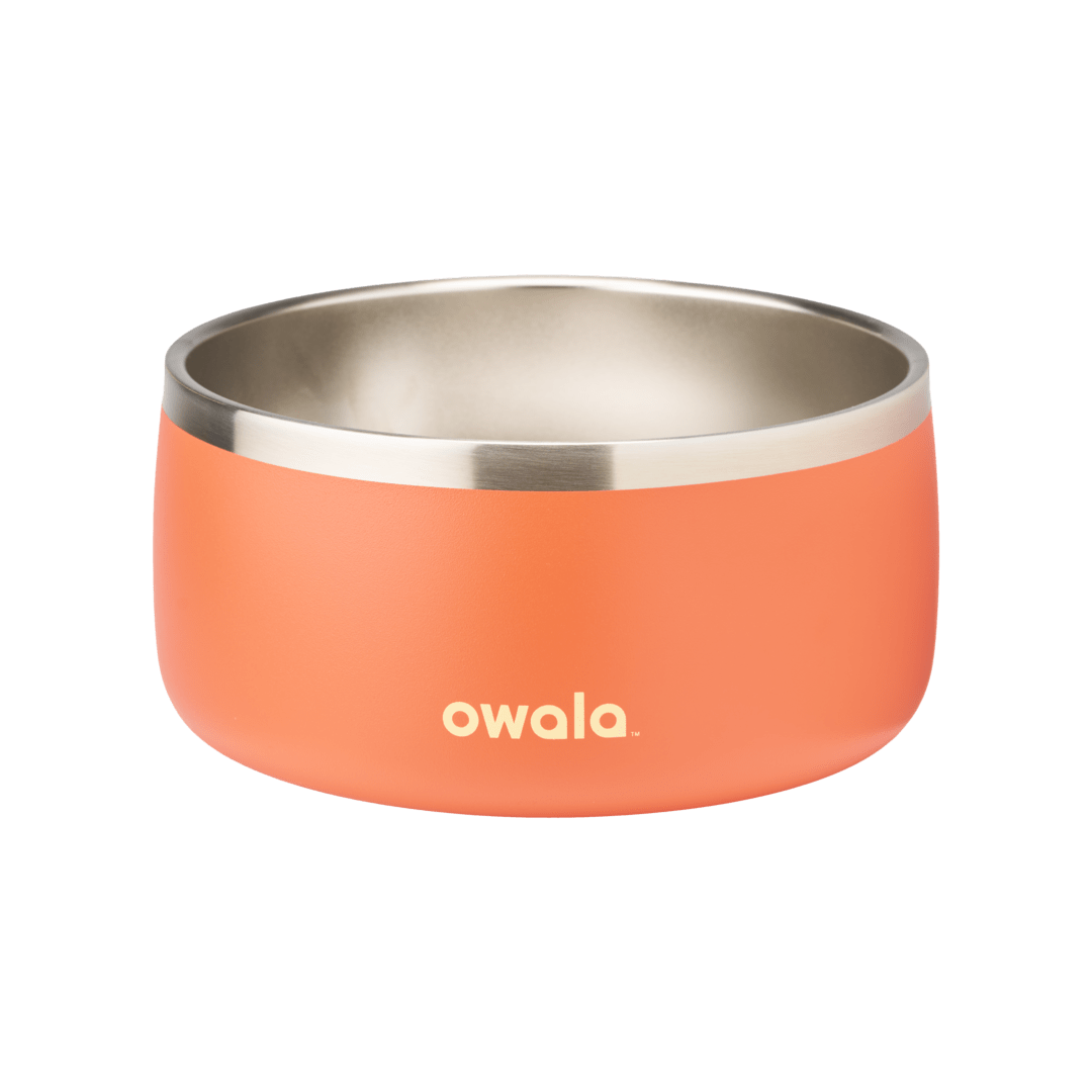 Pet Bowl O3T55R