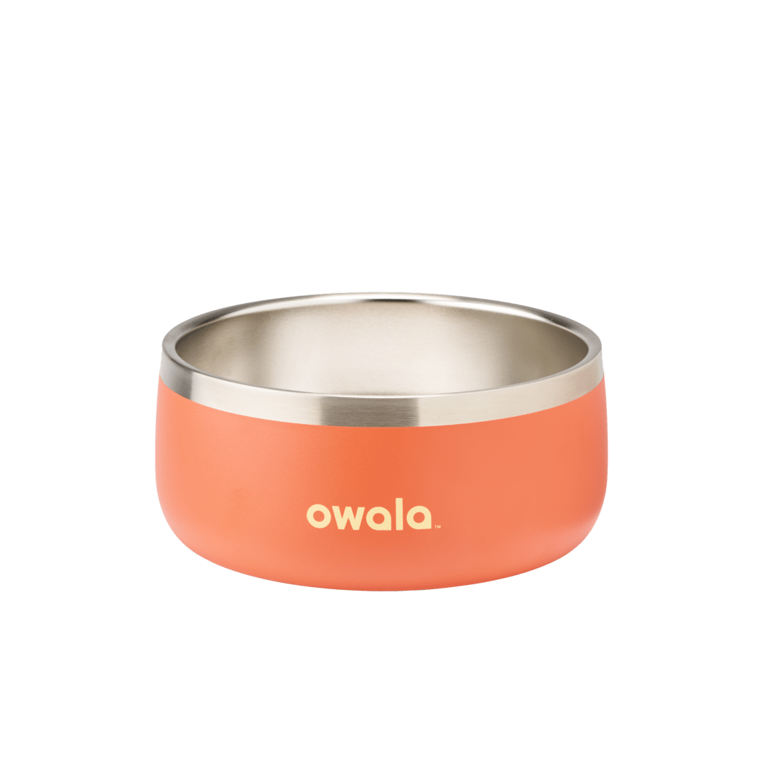 Pet Bowl O3T55R