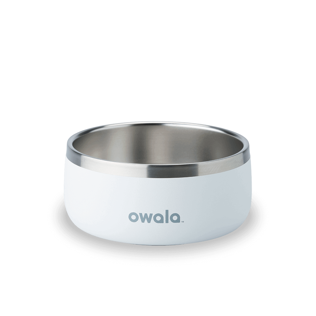 Pet Bowl O3T55R