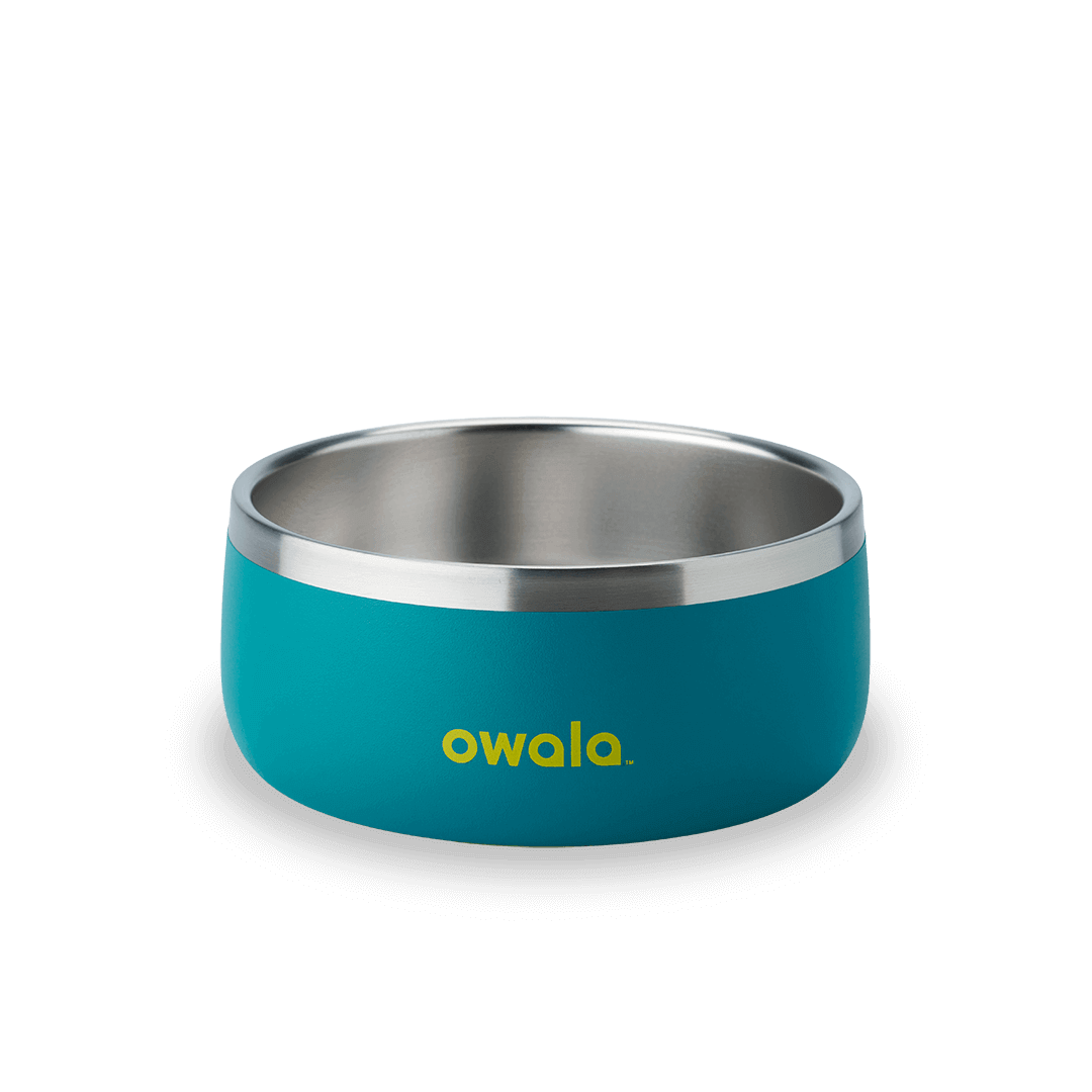 Pet Bowl O3T55R