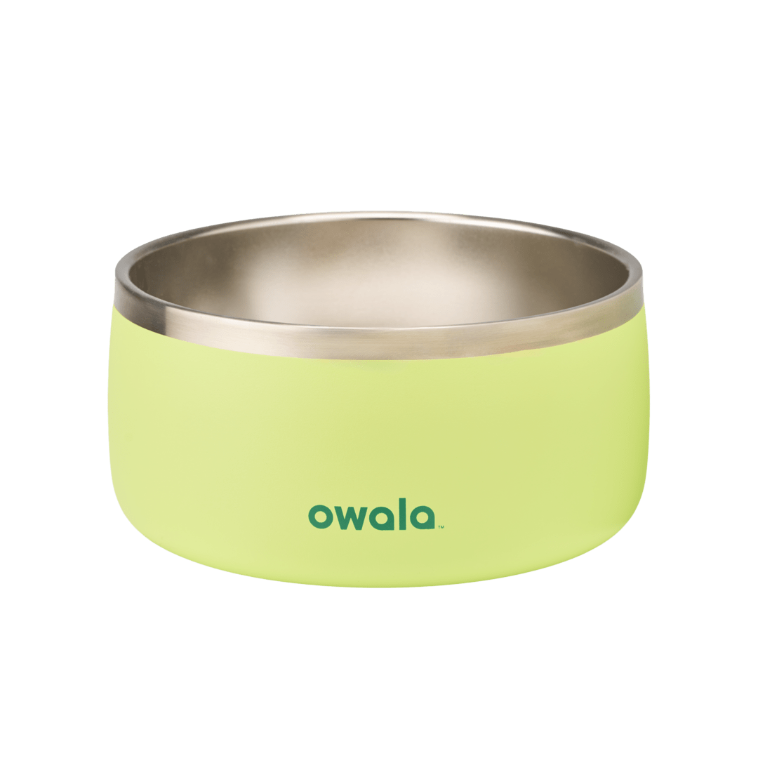 Pet Bowl O3T55R