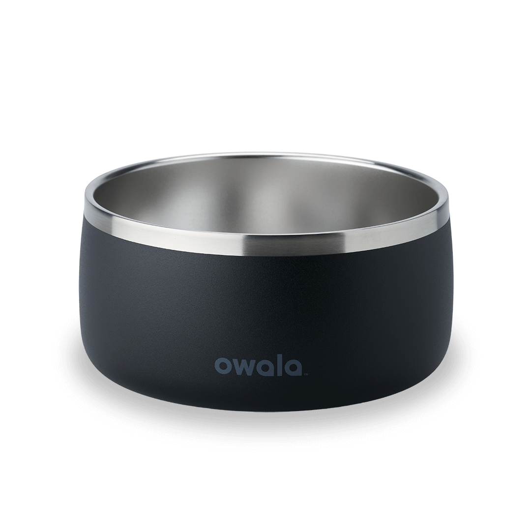 Pet Bowl O3T55R