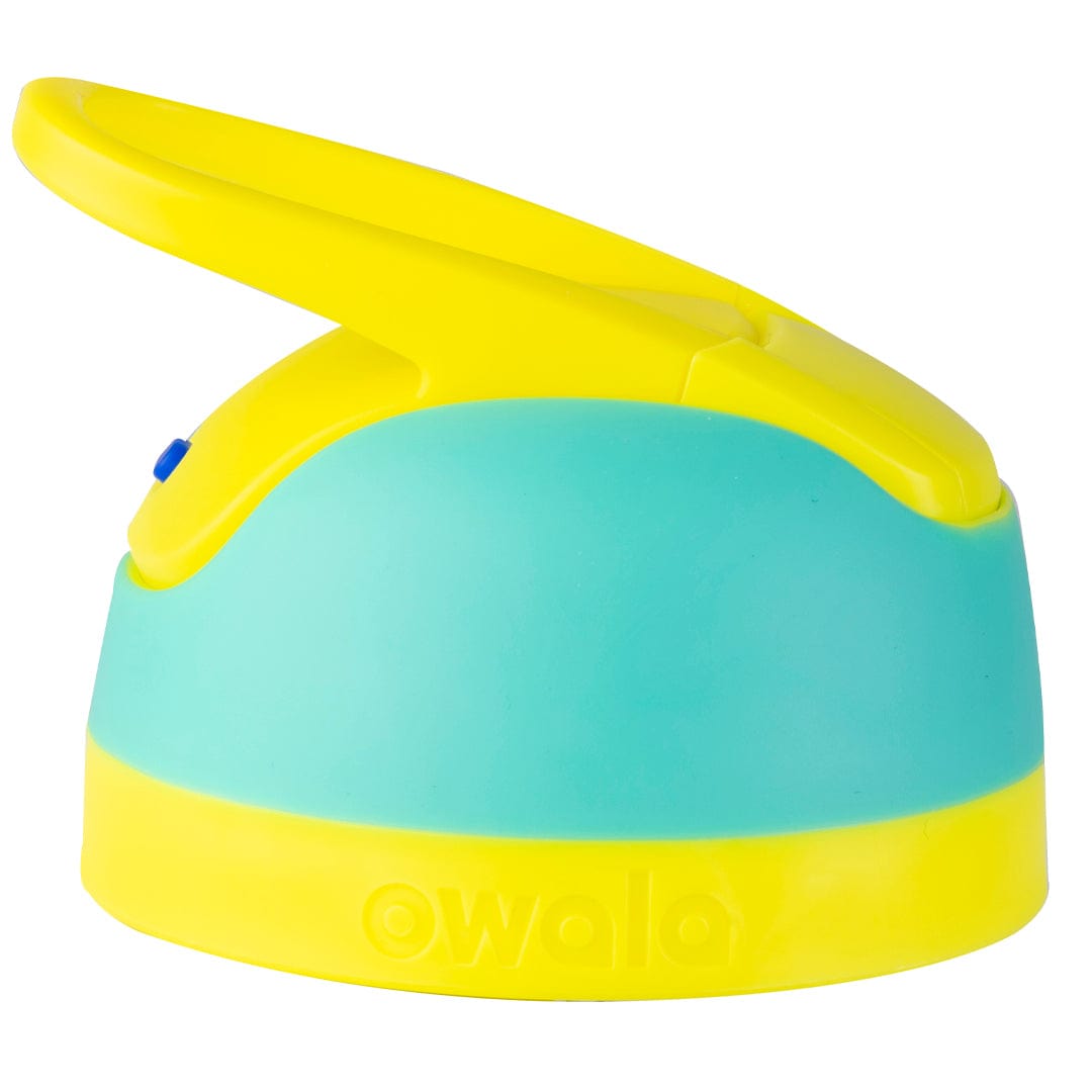 Replacement Lids AFYDD2