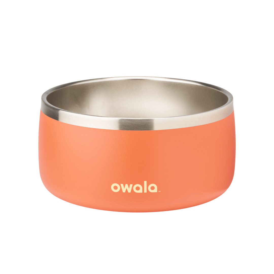 Pet Bowl O3T55R